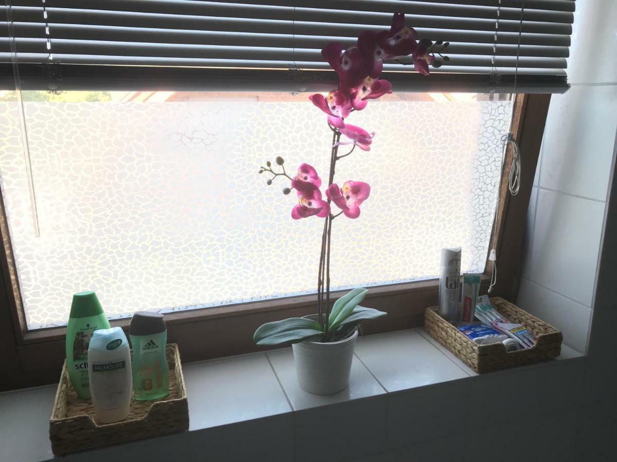 פאדרבורן Business Wohnung ++ Hochwertige Ausstattung מראה חיצוני תמונה